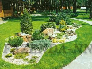 Необычное оформление дачной территории